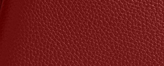 COACH®,Lana Shoulder Bag 23,Leather,Satchel,Logo,Metal,Compact,Casual,Maroon,Front View