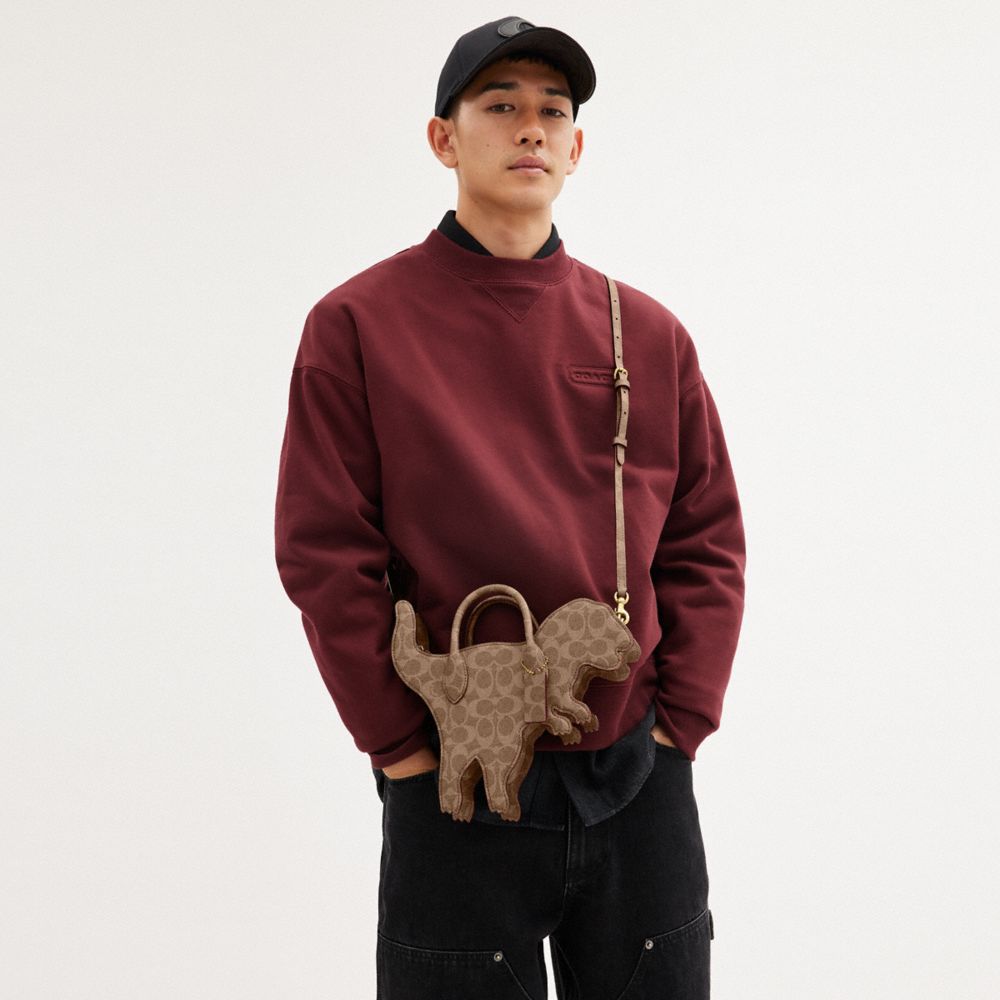 COACH®,Rexy Bag In Signature Canvas,,Detail View