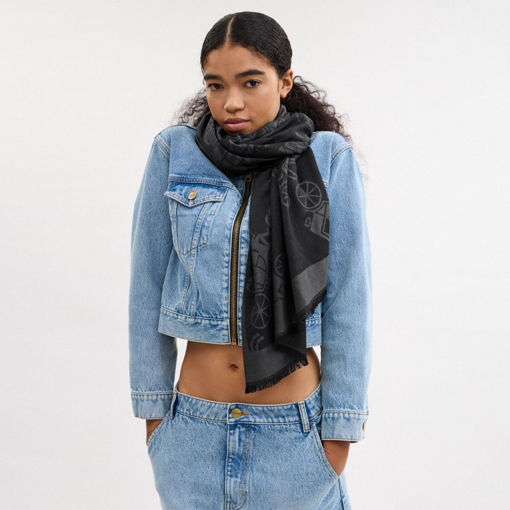 COACH®,Horse And Carriage Print Stole,Silk,Cotton,Rectangle,Frayed,Casual,Gray,Detail View