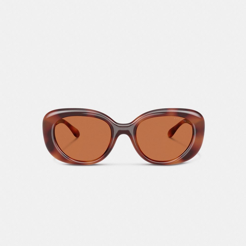 COACH®,C Hardware Round Sunglasses,Square,Logo,Metal,Integrated Nose Pads,Casual,Brown,Inside View,Top View