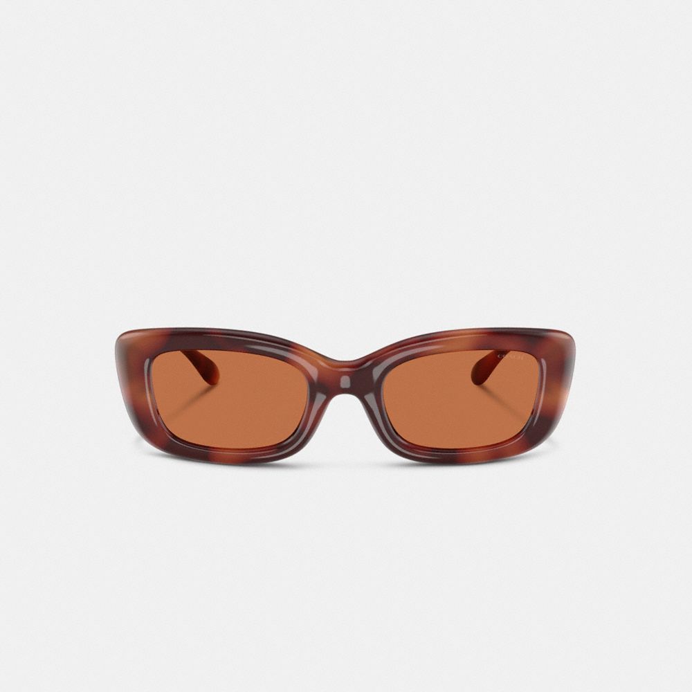 COACH®,C Hardware Narrow Rectangle Sunglasses,Rectangle,Logo,Metal,Integrated Nose Pads,Casual,Brown,Inside View,Top View