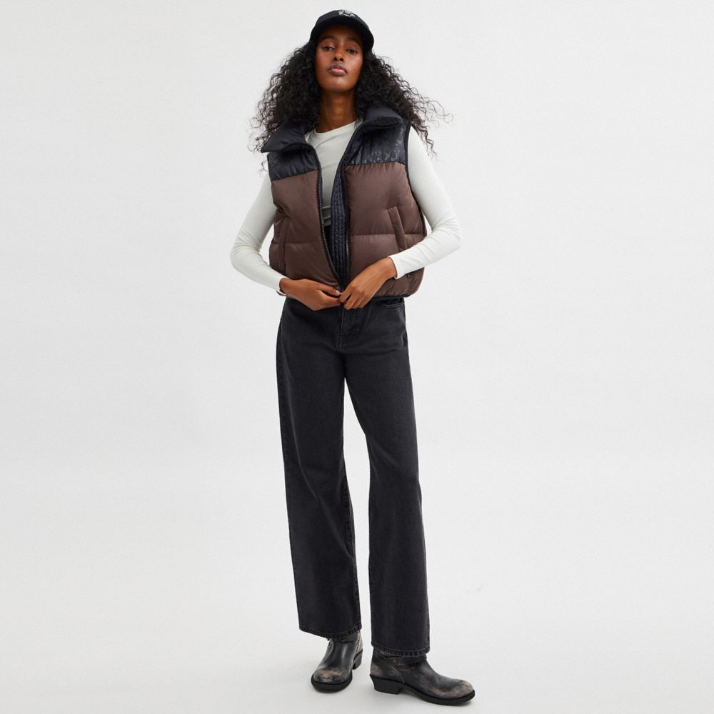 COACH®,Puffer Vest In Recycled Polyamide,Quilted,Puffer,Vest,Piping,Pattern,Color Block,Sustainable,Down Insulation,Casual,Brown,Scale View