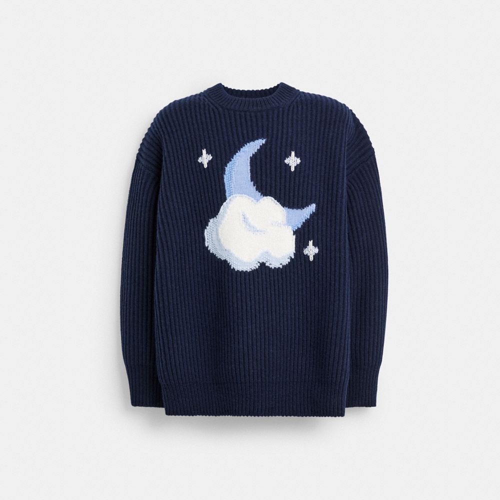 COACH®,Chunky Graphic Sweater In Recycled Wool,Cashmere,Wool,Sweater,Pullover,Ribbed,Casual,Navy,Front View