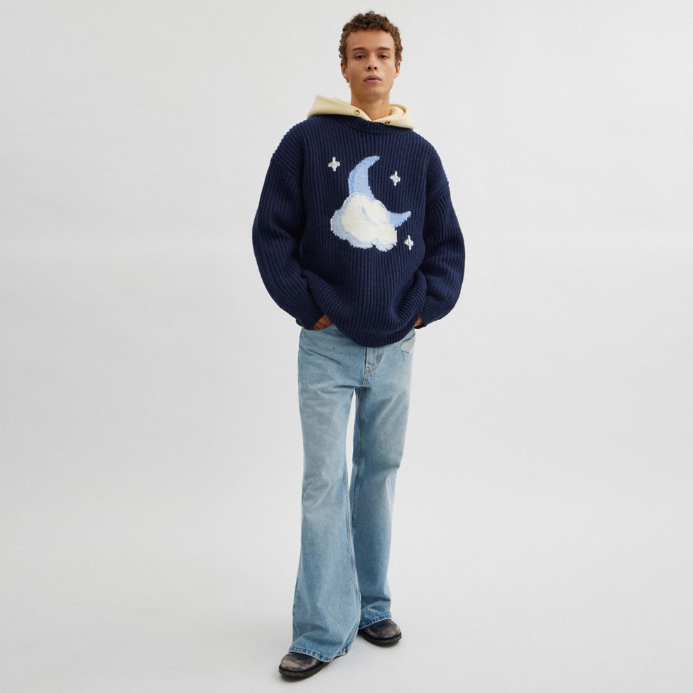 COACH®,Chunky Graphic Sweater In Recycled Wool,Cashmere,Wool,Sweater,Pullover,Ribbed,Casual,Navy,Scale View