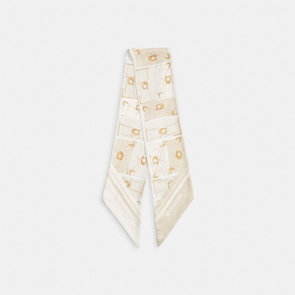 COACH®,Tabby Bag Print Silk Wide Skinny Scarf,Silk,Neck Gaiter,Stripe,Casual,Multi Color,Front View