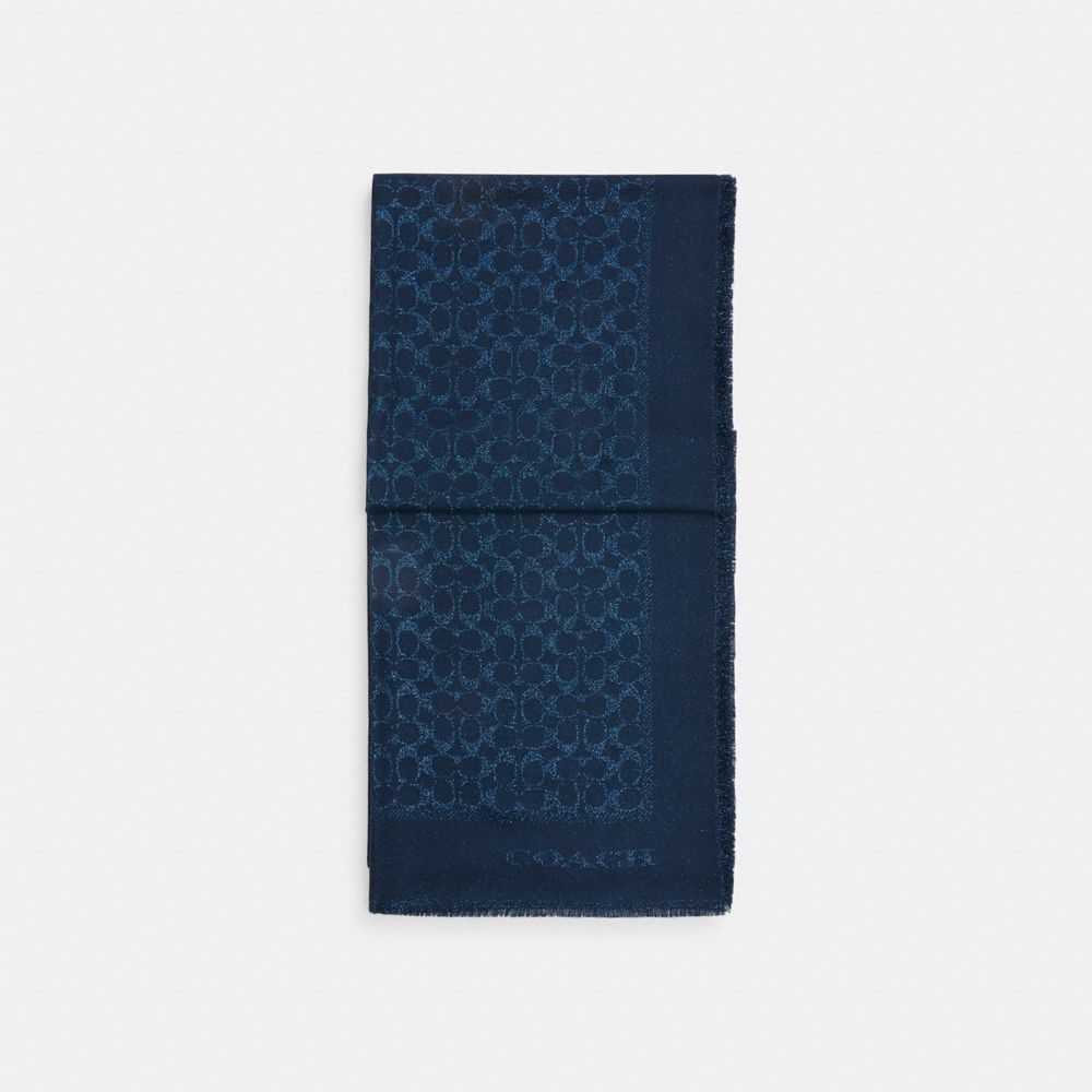 COACH®,Signature Metallic Oblong Scarf,Wool Blend,Metallic,Viscose,Polyester,Rectangle,Frayed,Casual,Navy