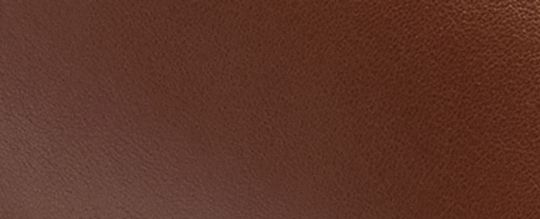 COACH®,High Line Sneaker,Leather,Casual,Fabric,Logo,Embossed,Cushioned,Cushion Toe,Casual,Brown