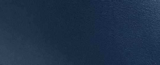 COACH®,High Line Sneaker,Leather,Casual,Fabric,Logo,Embossed,Cushioned,Cushion Toe,Casual,