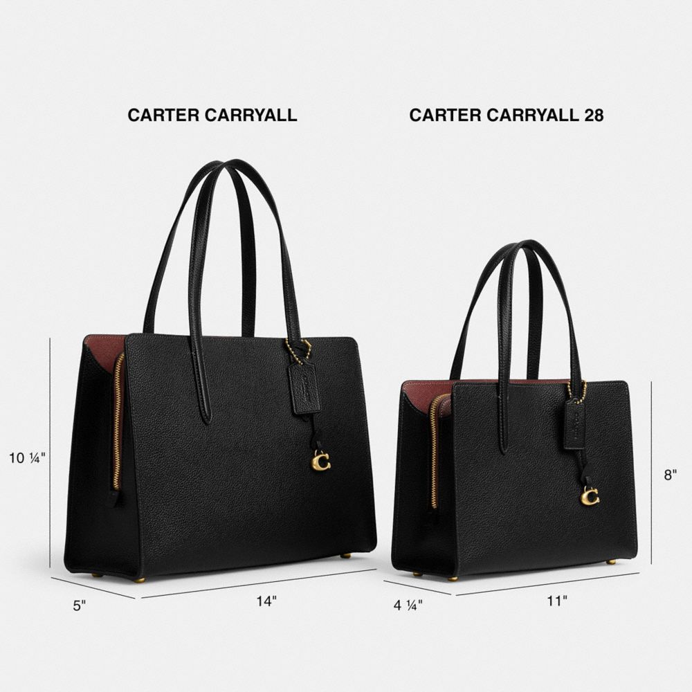 COACH Carter Carryall Bag