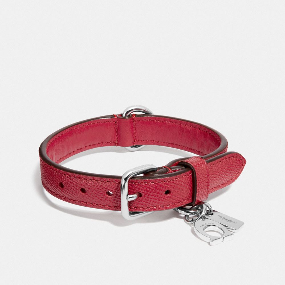 coach dog collar