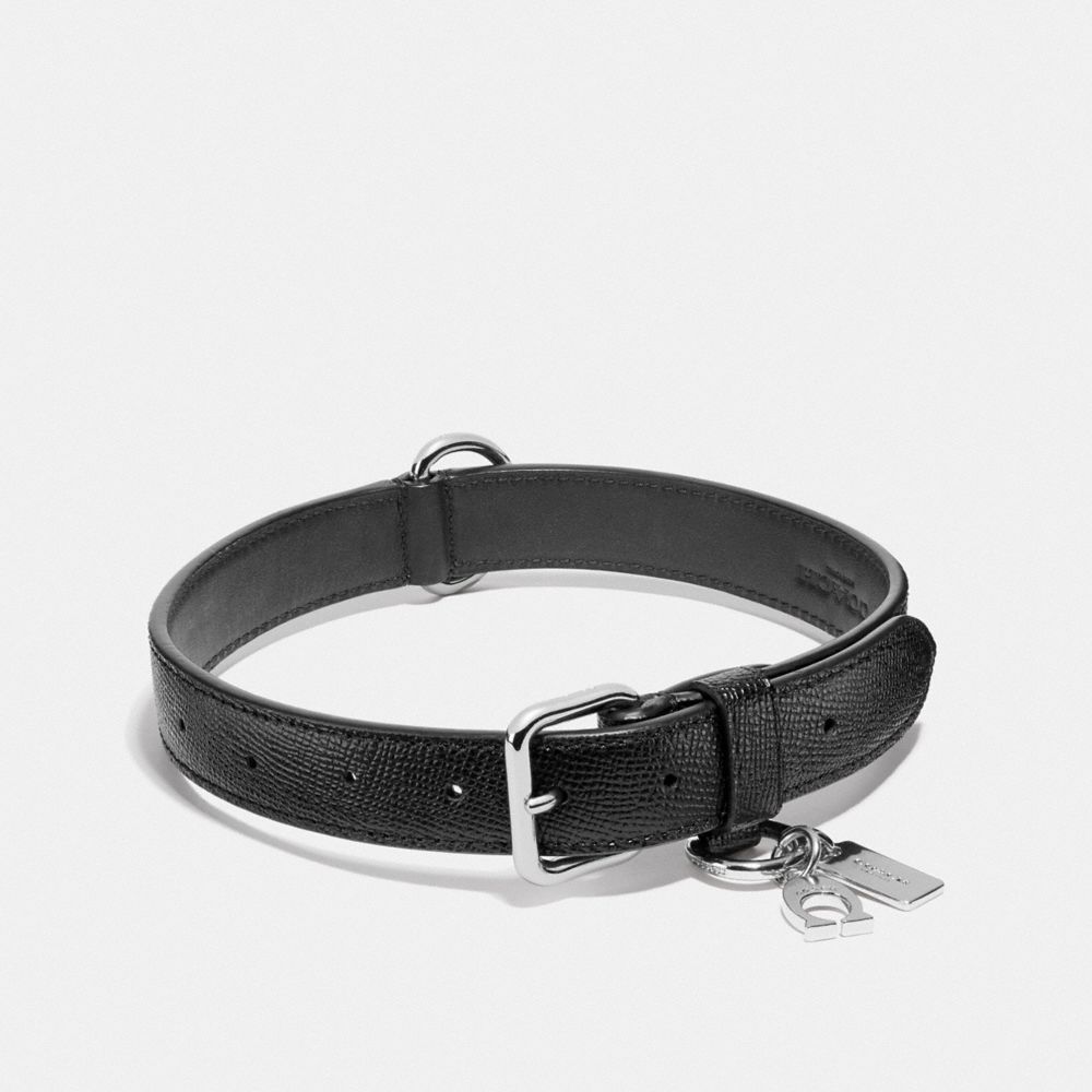 coach dog collar large
