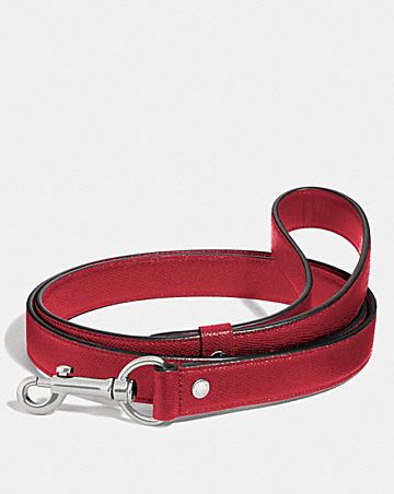 Pet Accessories: Collars & Leashes | COACH