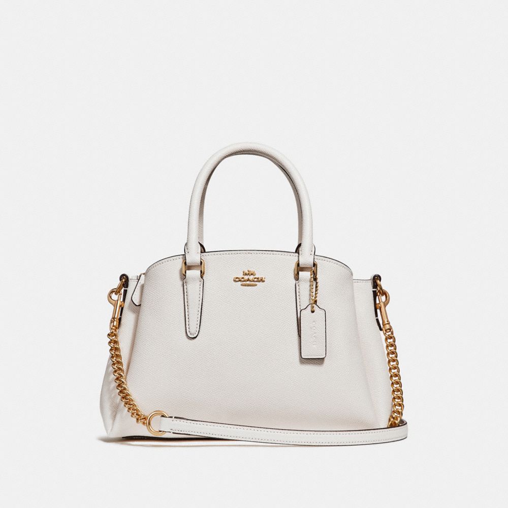 coach mini sage carryall