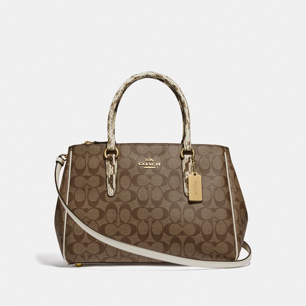 coach large surrey carryall