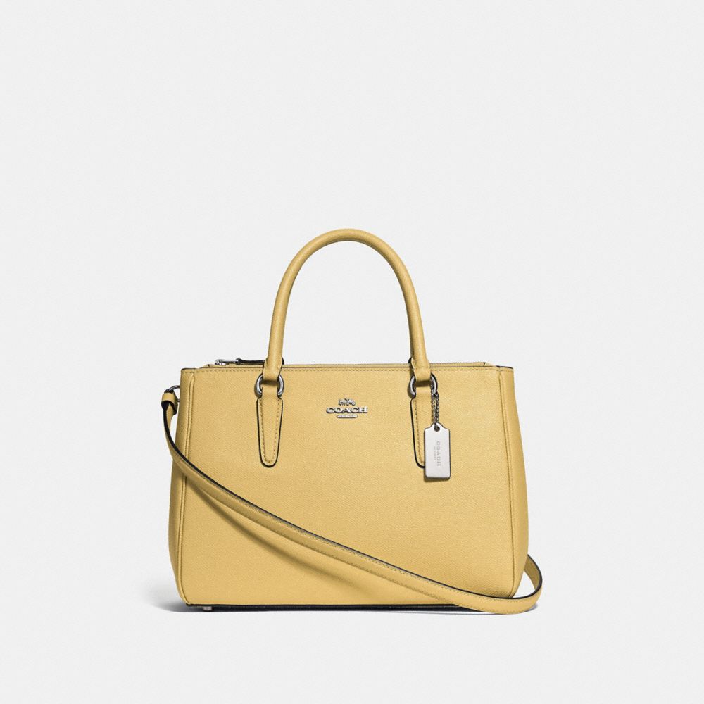 coach large surrey carryall