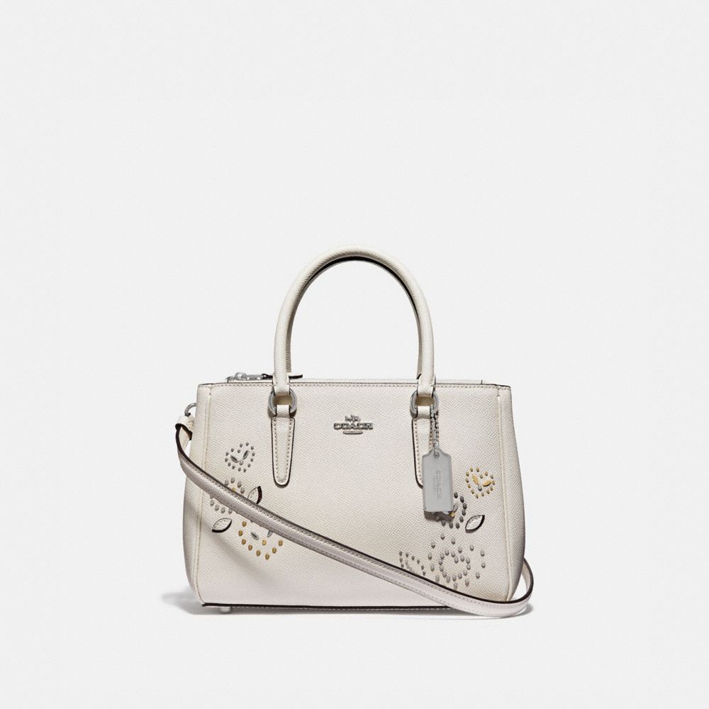 mini surrey carryall coach