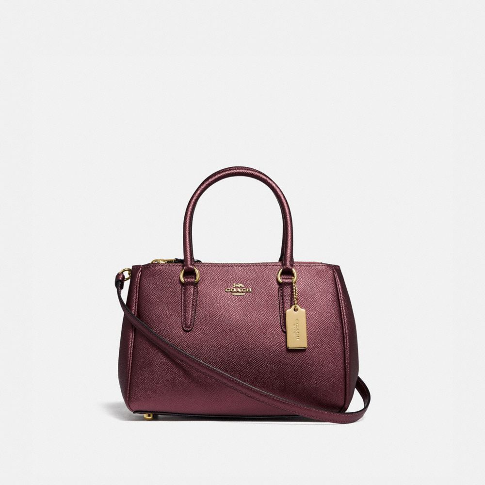 mini surrey carryall coach