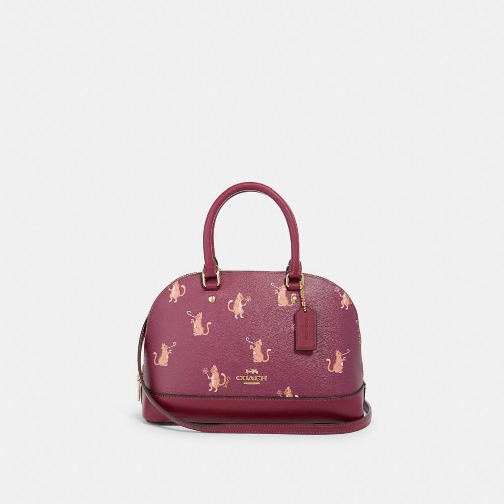 coach party bag