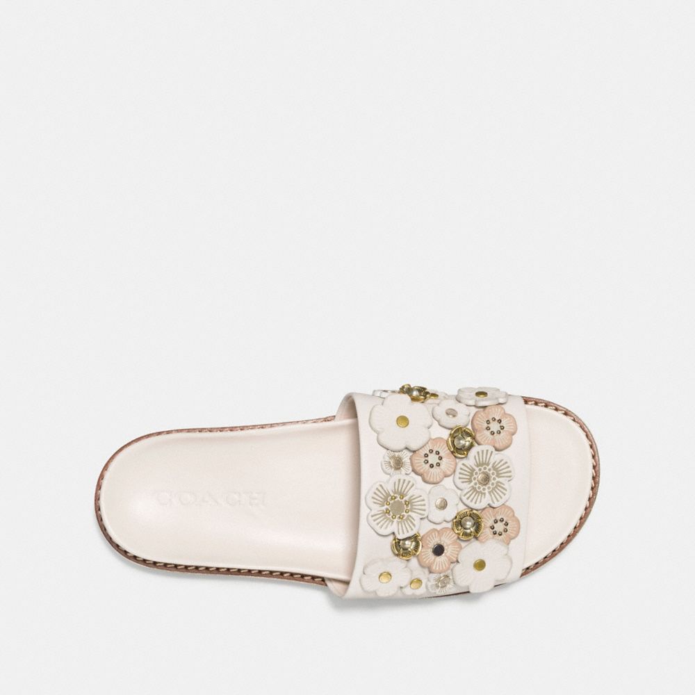 coach tea rose slides
