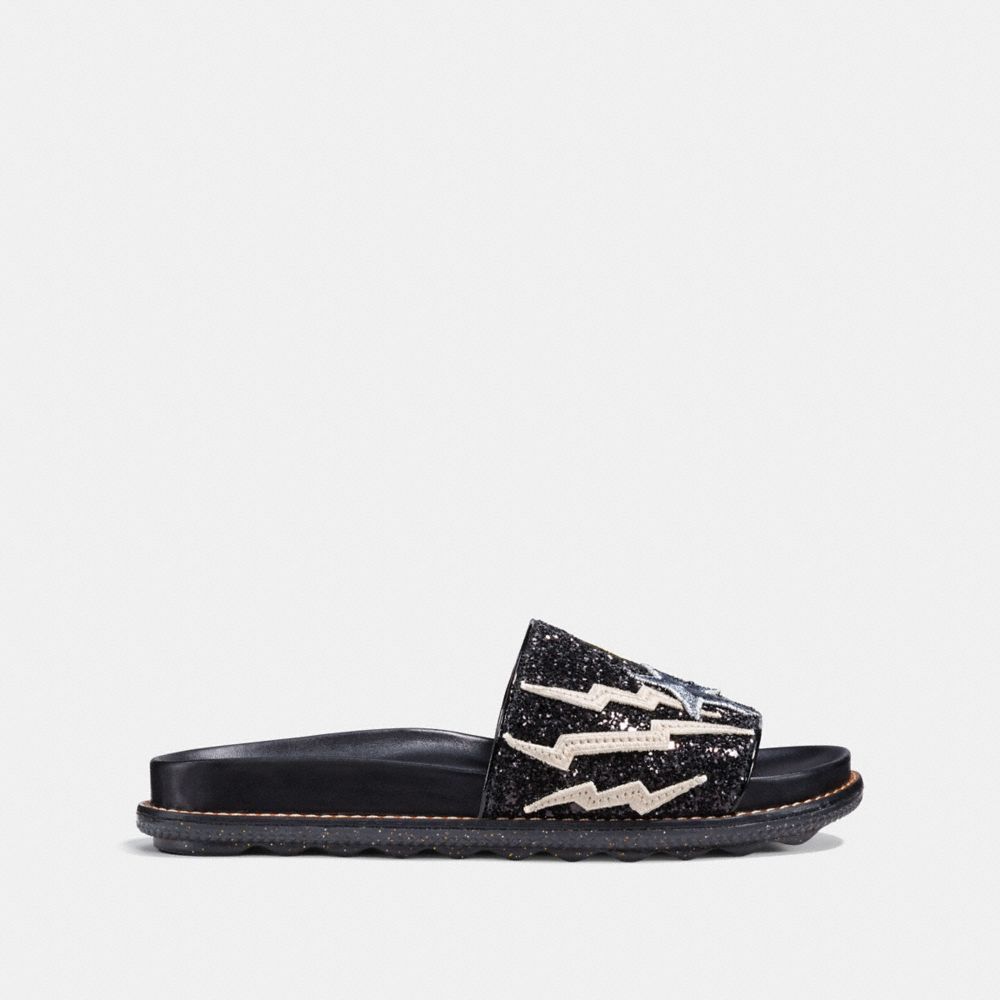 coach dinosaur slides