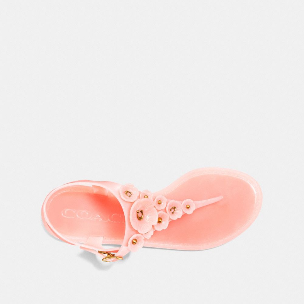 coach tea rose jelly sandals