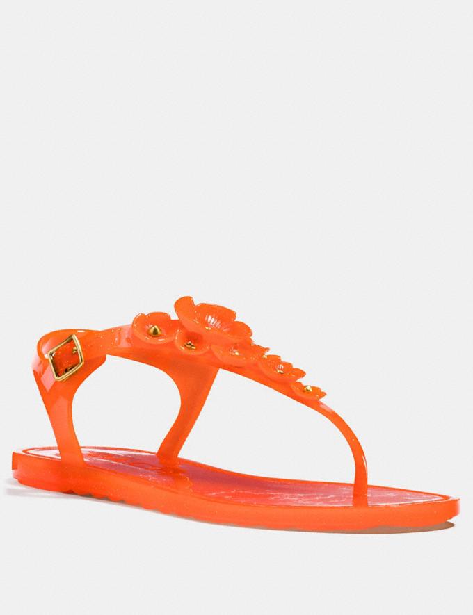 Coach Tea Rose Jelly Sandal Mandarin 