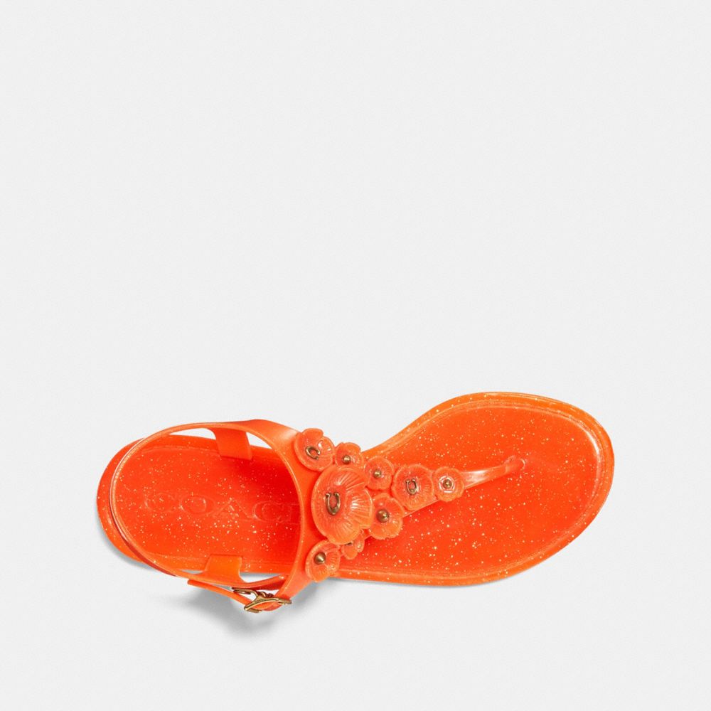 coach tea rose jelly sandals
