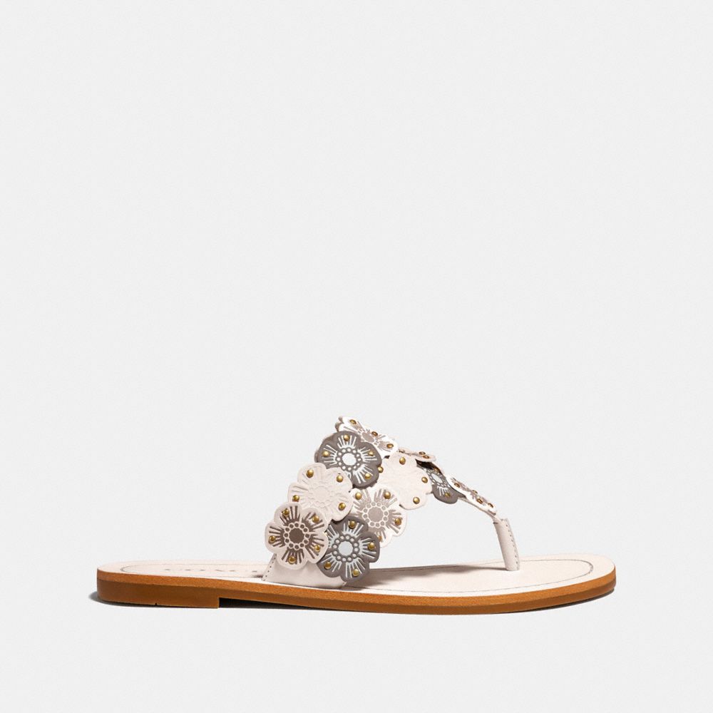 coach lottie sandal