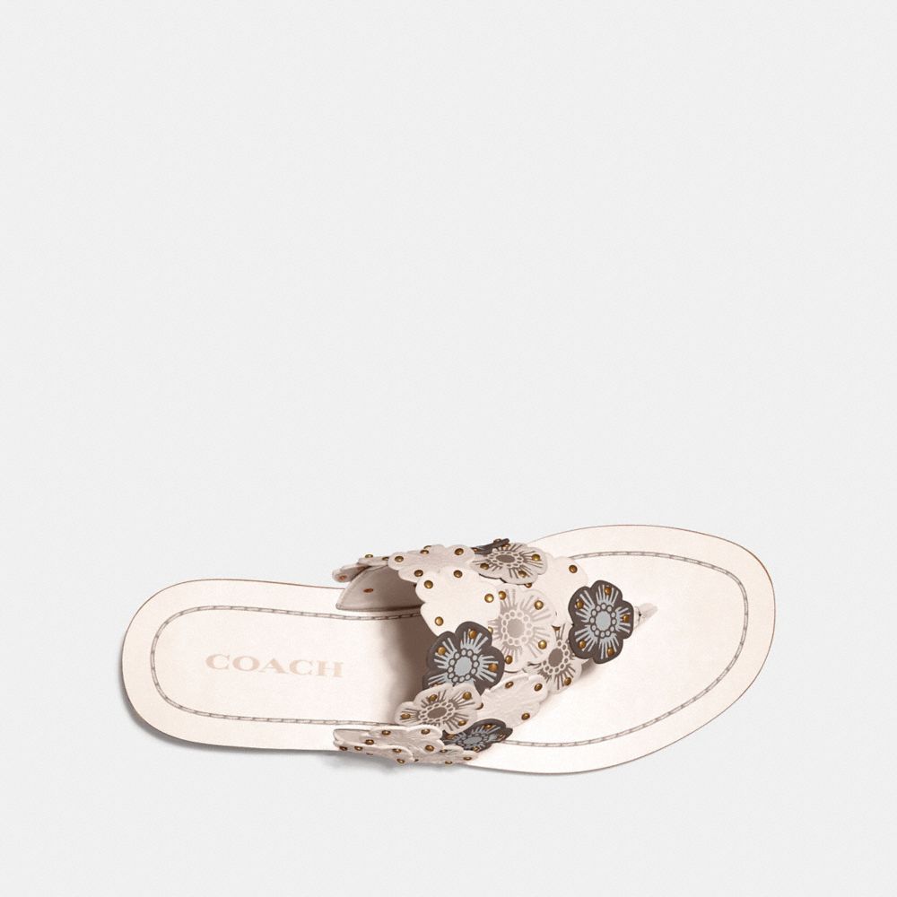 coach lottie sandal