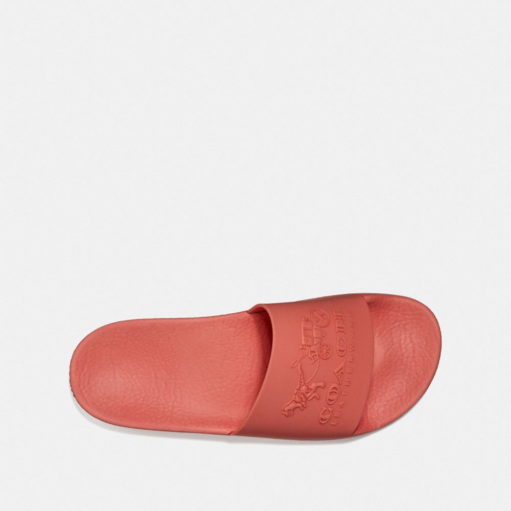 Udele Sport Slide COACH