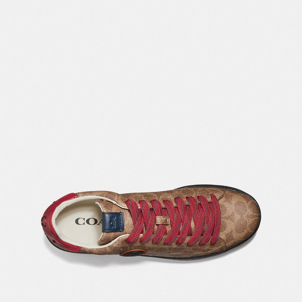 c101 in signature canvas