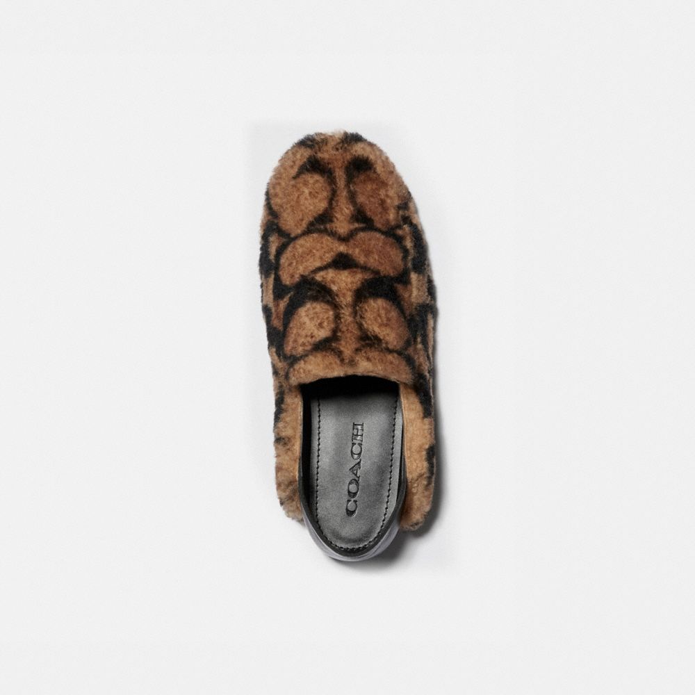 coach slippers mens