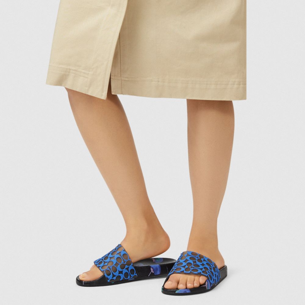 coach udele signature rubber slides