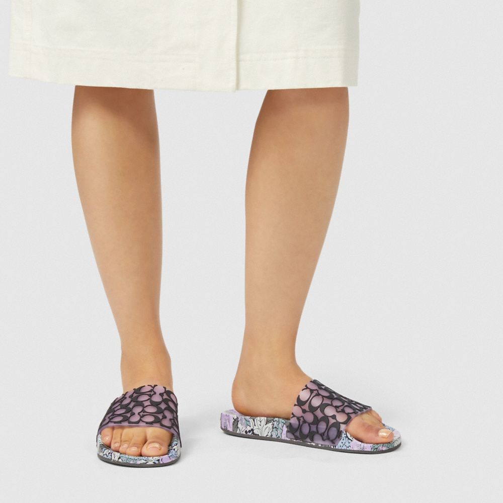 COACH Udele Sport Slide