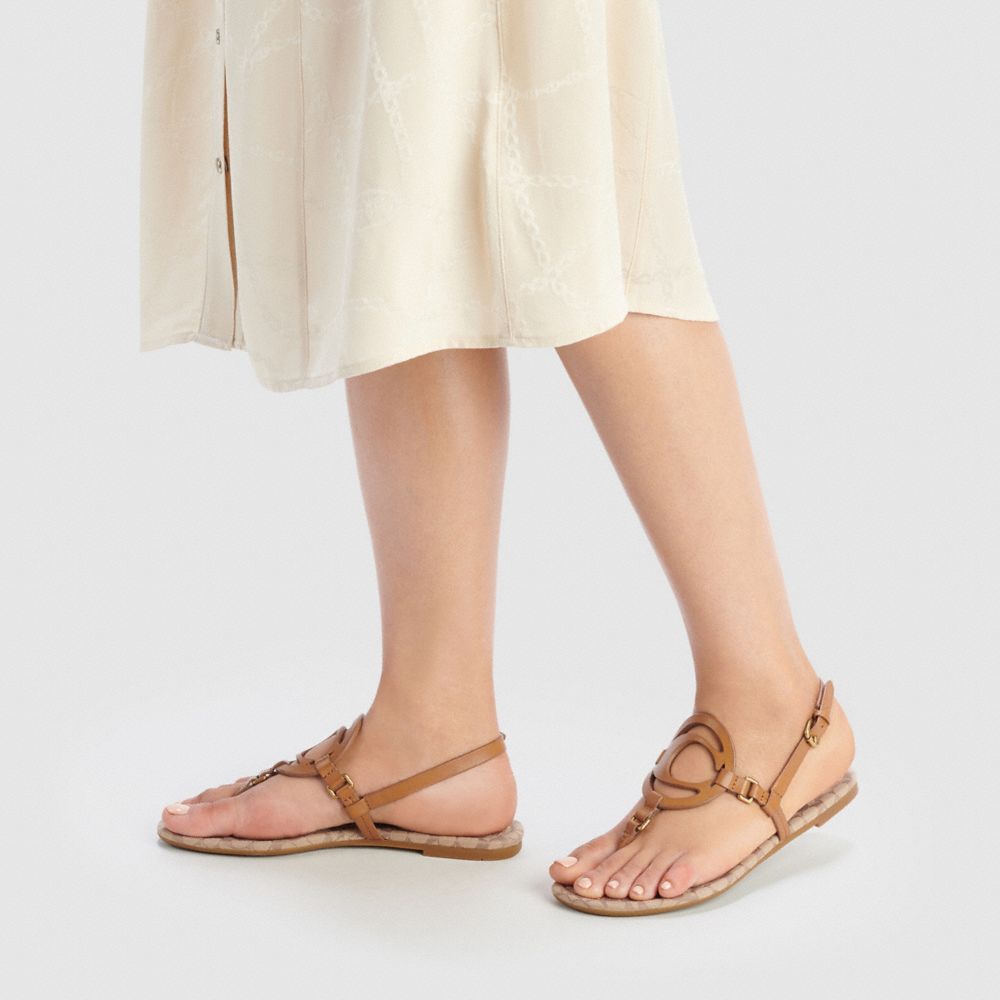 turquoise mules