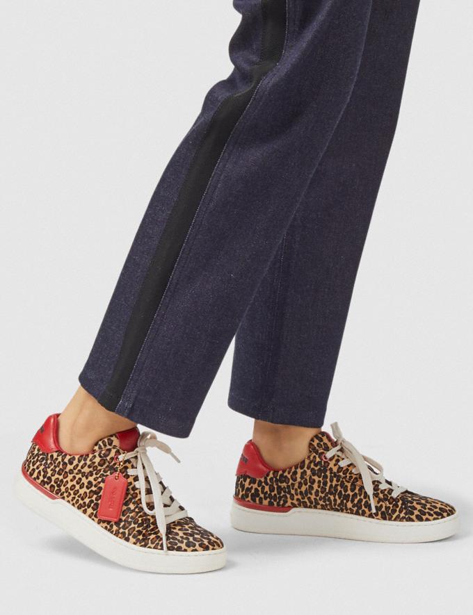 COACH: Lowline Low Top Sneaker
