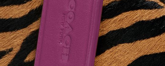 Black Camel/Hibiscus