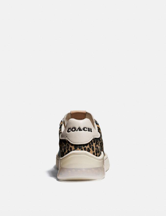 COACH: Citysole Court Sneaker COACH: Citysole Court Sneaker