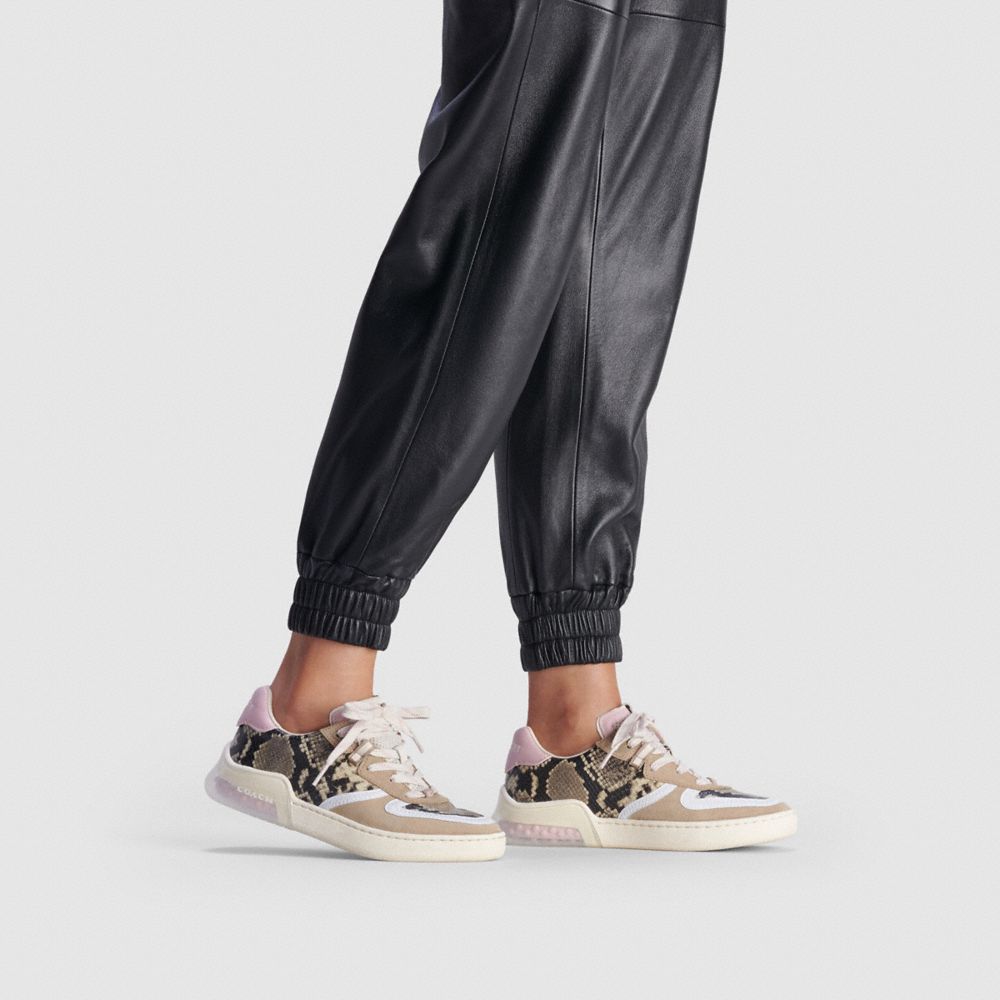 Coach Citysole Court Sneaker Mit Schlangenleder Buche/Aurora  Alternative Ansicht 4