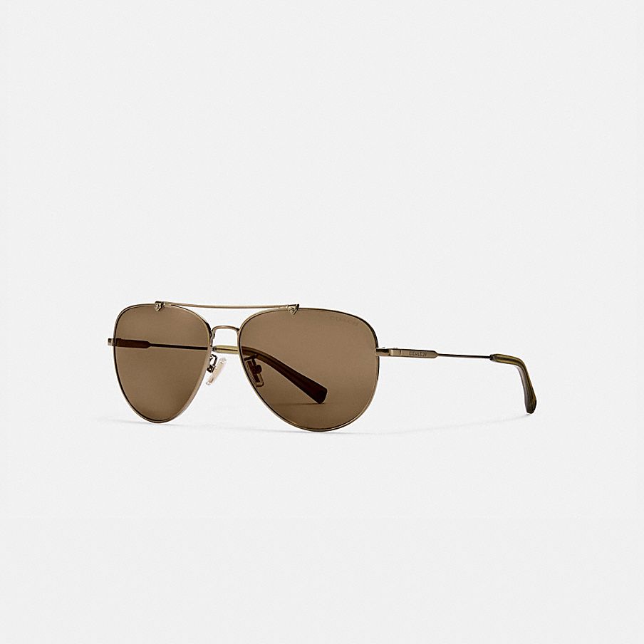 COACH: Wire Frame Pilot Sunglasses