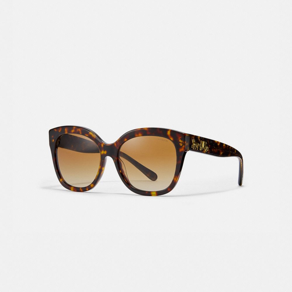 Signature Square Sunglasses COACH