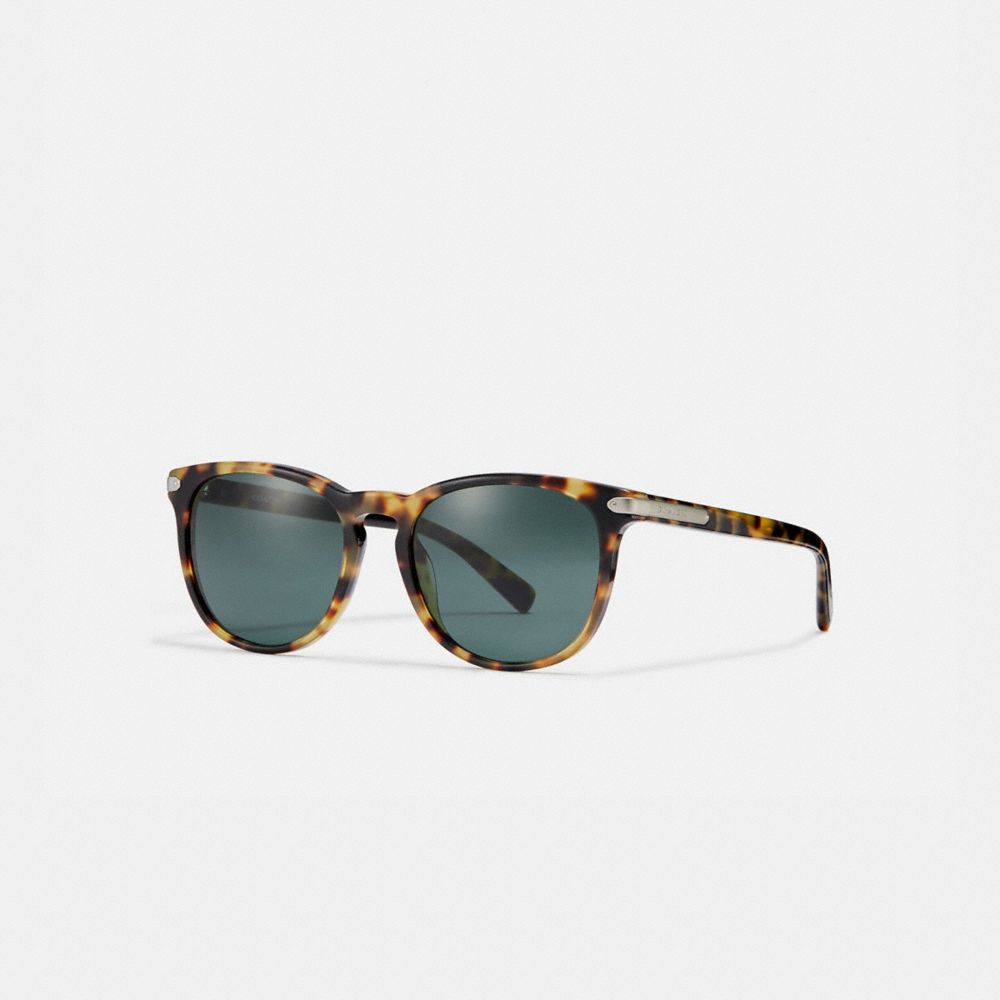 coach wayfarer sunglasses