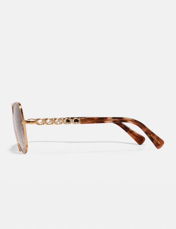 Coach Signature Chain Round Sunglasses Brown Rose Gradient Women Accessories Sunglasses Alternate View 3