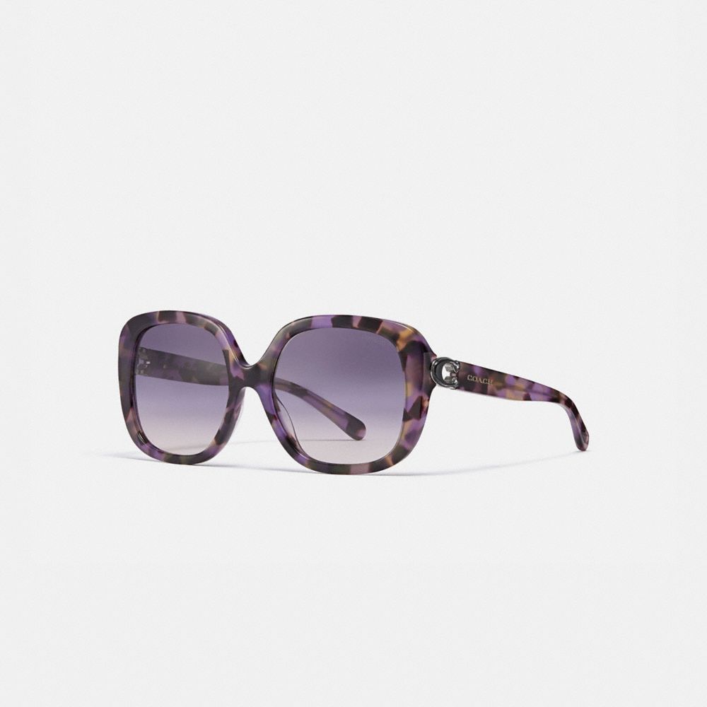 coach sienna sunglasses