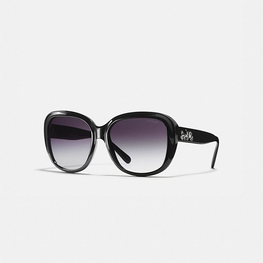COACH: Horse and Carriage Soft Square Sunglasses