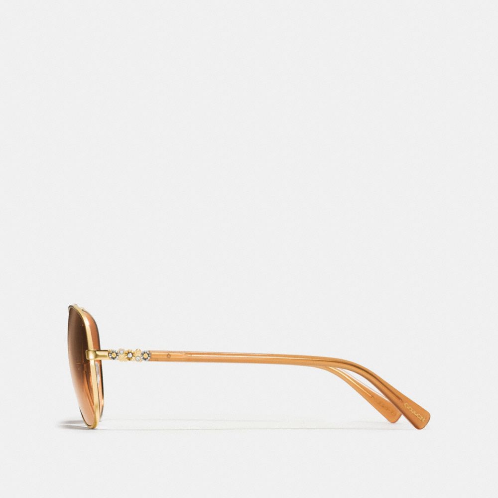 coach daisy sunglasses