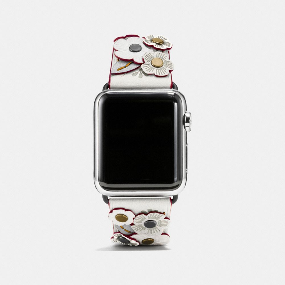 apple watch belts